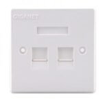 AICO 2 Port Faceplate