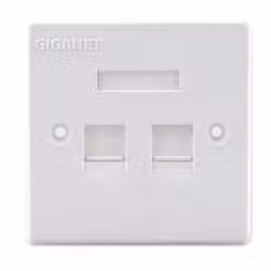 AICO 2 Port Faceplate