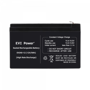 EVI 9Ah 12V Lead-Acid Battery - EVIA9-12