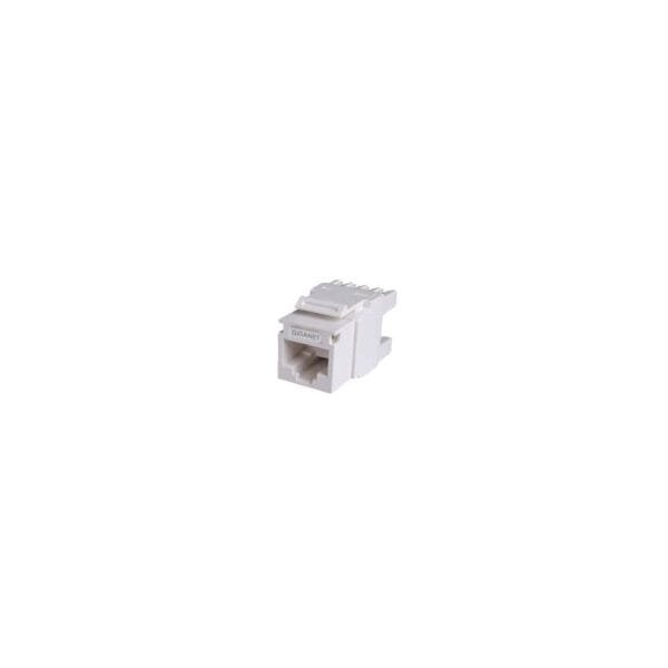 Giganet Cat6 UTP RJ45 Keystone Jack