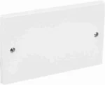 Standard Twin Blank Cover Plate White 2-Gang