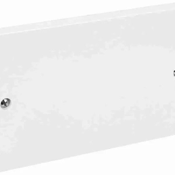 Standard Twin Blank Cover Plate White 2-Gang