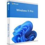 Microsoft Windows 11 Pro 64-Bit English International DSP OEI DVD