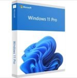 Microsoft Windows 11 Pro 64-Bit English International DSP OEI DVD