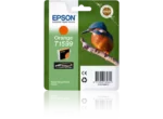 Epson T1599 Orange UltraChrome Hi-Gloss 2 Ink Cartridge (C13T15994010) C13T15994010