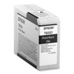 Epson T8507 Light Black UltraChrome HD Ink Cartridge 80ml C13T850700