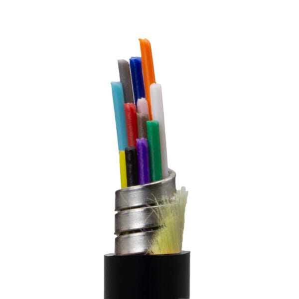 OEM Fiber OS2 12-Core
