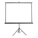 OEM Motorized Projector Screen