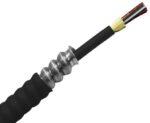 OEM Fiber OS2 12-Core