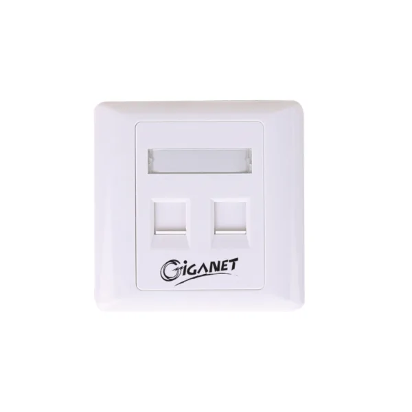 AICO 2 Ports Faceplate