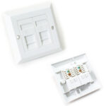 Easenet CAT6 Dual Faceplate