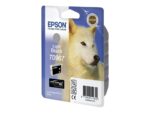 Epson T0967 light black