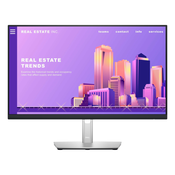 Dell P2422H Monitor