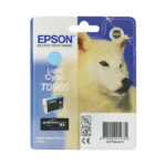 Epson T0965 light cyan