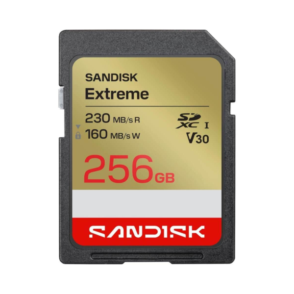 SanDisk Extreme 256GB