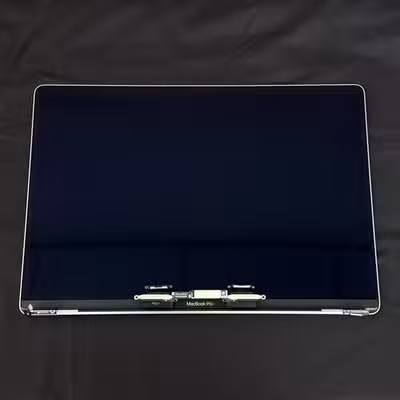 Apple MacBook A2141 Screen