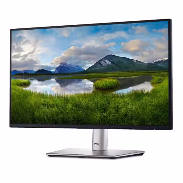 Dell P2422H