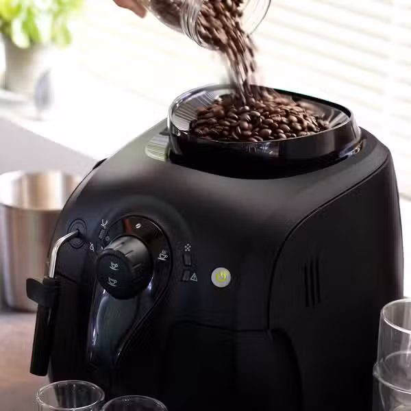 Gaggia Besana RI8180/01