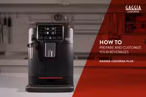 Gaggia Cadorna Plus