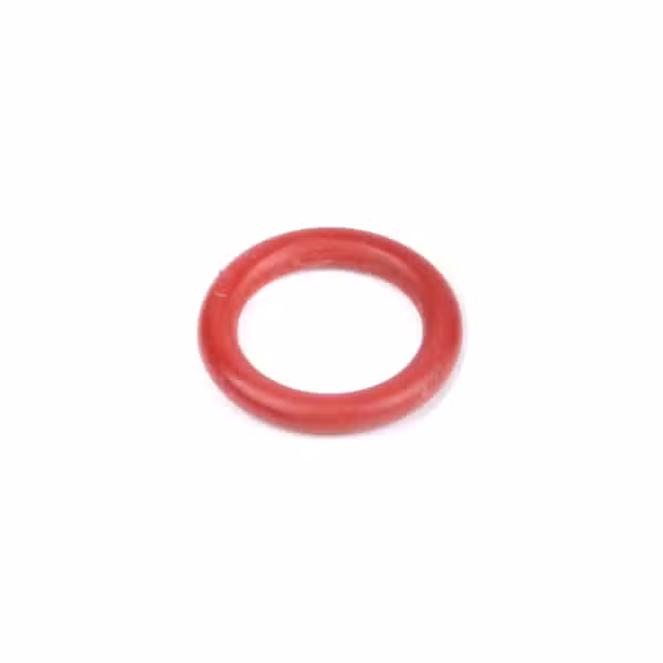 Gaggia ORM 0090-20 O-ring