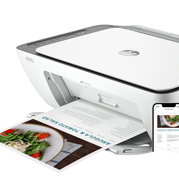 HP DeskJet 2876