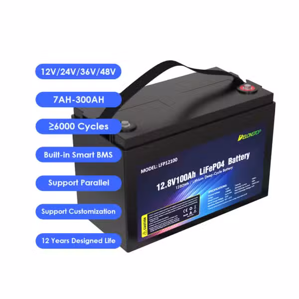 LFP12100 100Ah Battery