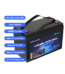 LFP12100 100Ah Battery