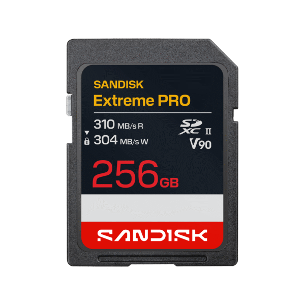 SanDisk 128GB SDXC